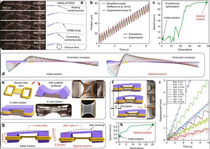 Modeling and simulating complex dynamic musculoskeletal architectures