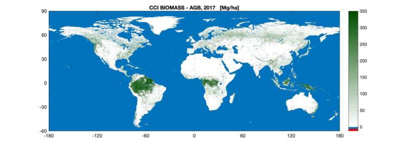 New biomass map to take stock of the world’s carbon