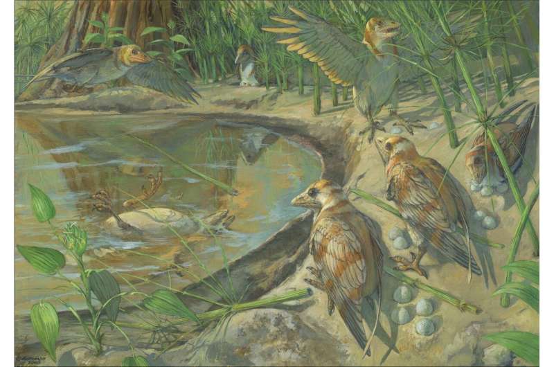 New Cretaceous fossil sheds light on avian reproduction