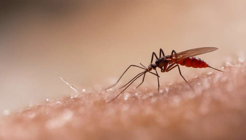 New diagnostic test for malaria uses spit, not blood