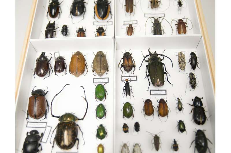 New research project on the impact of extreme weather on biodiversity and pollinating insects