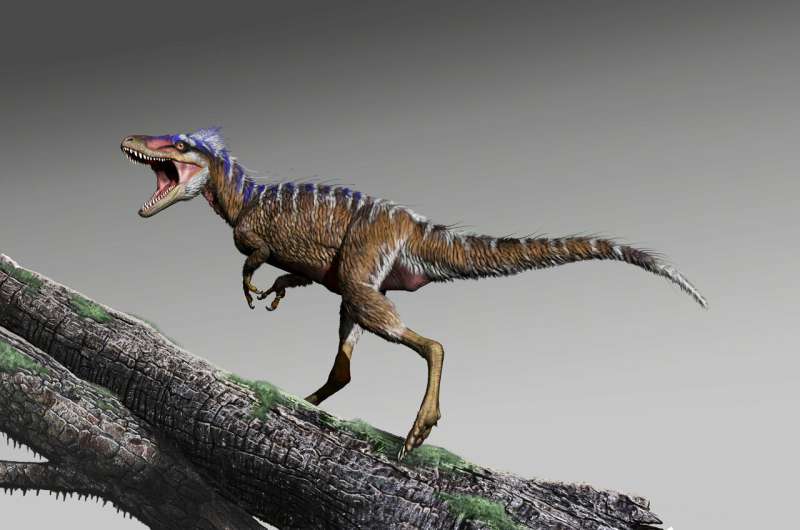 New species of tiny tyrannosaur foreshadows rise of T. rex