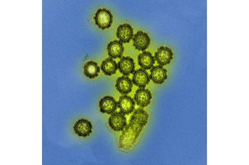 NIH-supported study reveals a novel indicator of influenza immunity
