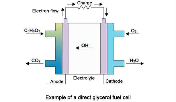 Niobium used as catalyst in fuel cell