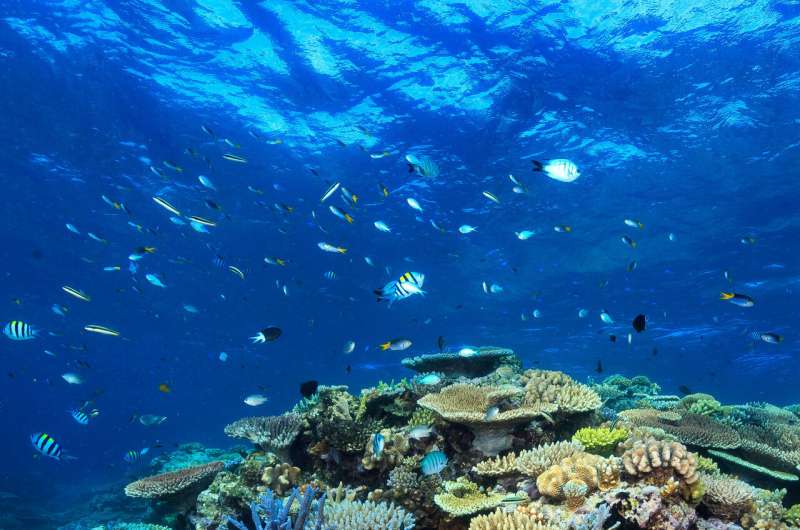 No silver bullet for helping the Great Barrier Reef