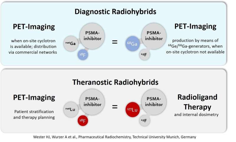 Nuclear medicine PSMA-targeted study offers new options for cancer theranostics worldwide