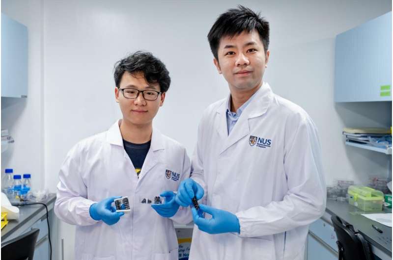 NUS researchers create new metallic material for flexible soft robots