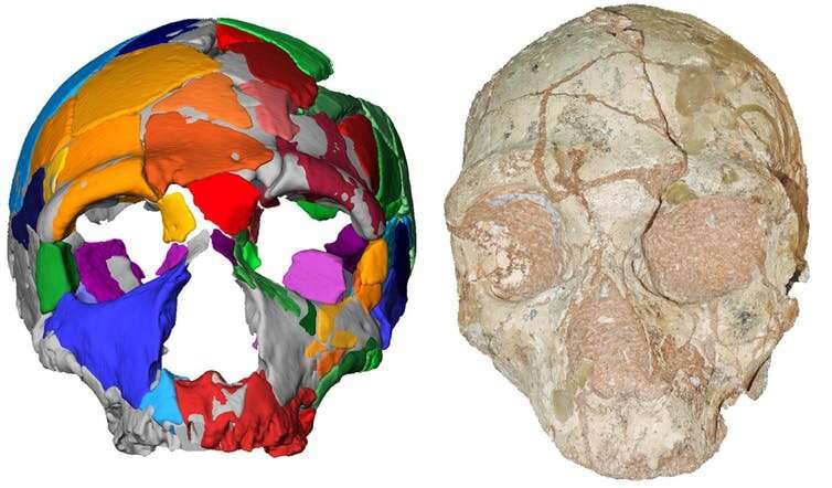 Oldest human skull outside Africa identified as 210,000 years old