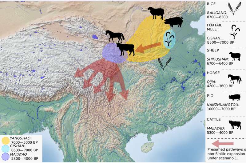 Origin of Sino-Tibetan language family revealed by new research