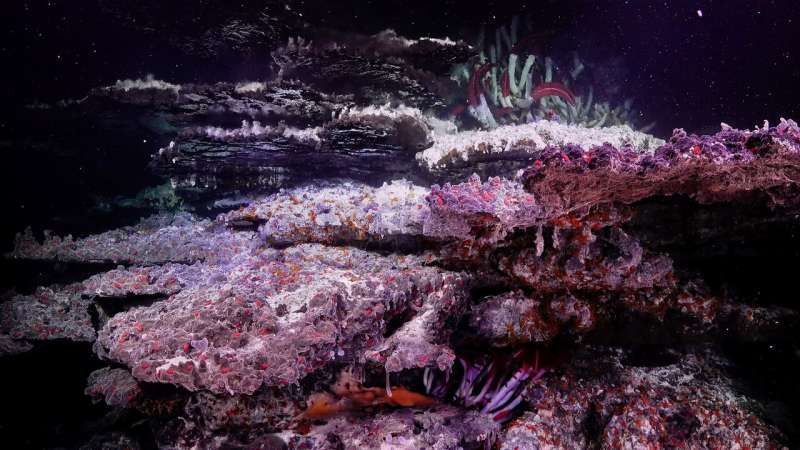 Otherworldly mirror pools and mesmerizing landscapes discovered on ocean floor