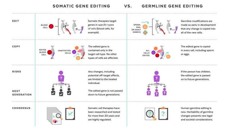 Perspectives on gene editing