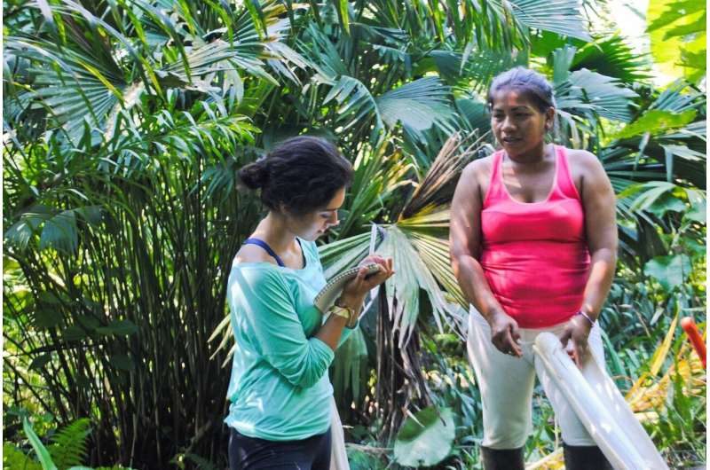 Pharmacy in the jungle study reveals indigenous people's choice of medicinal plants