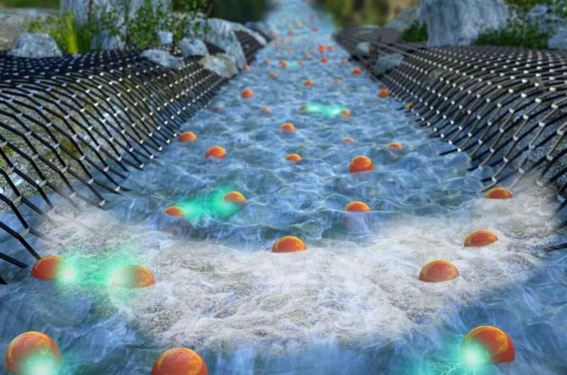 Physicists image electrons flowing like water