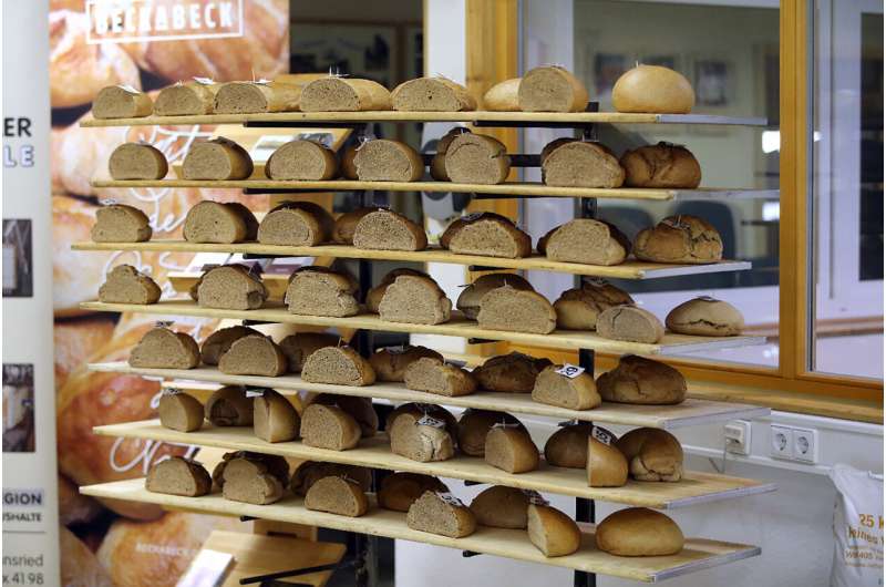 Plant researchers examine bread aroma: Modern and old wheat varieties taste equally good