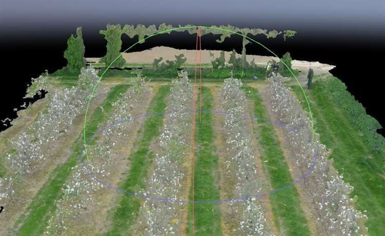 Predicting fruit harvest with drones and artificial intelligence