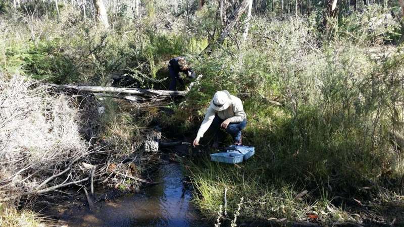 Protecting wetlands from underground mining impacts