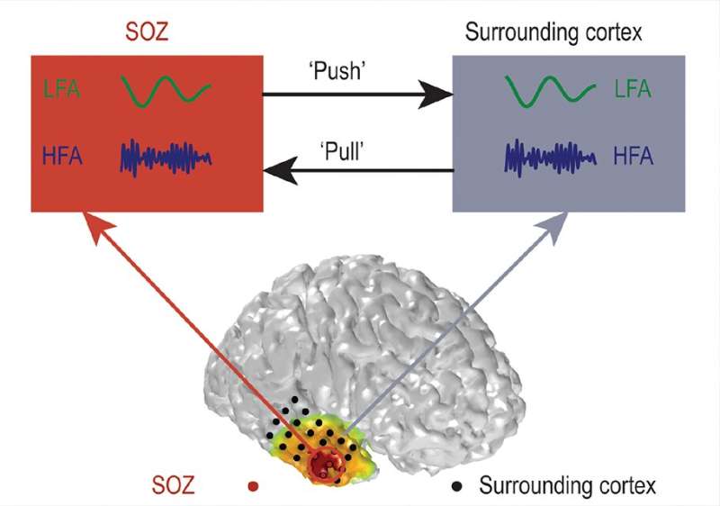 'Push-pull' dynamic in brain network is key to stopping seizures