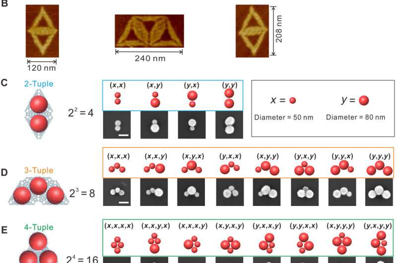 Quantizing single-molecule surface enhanced Raman Scattering with DNA origami metamolecules