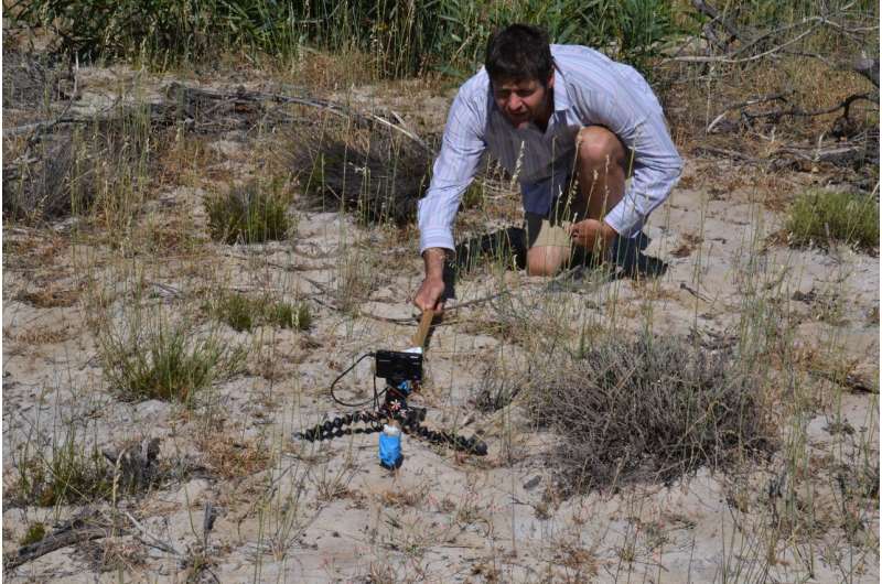Quantum dots capture speciation in sandplain fynbos on the West Coast of South Africa