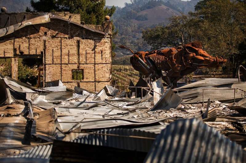 &quot;Lord Snort,&quot; a steel sculpture of a boar, is seen amid the rubble after the Soda Rock Winery was lost in the Kincade 