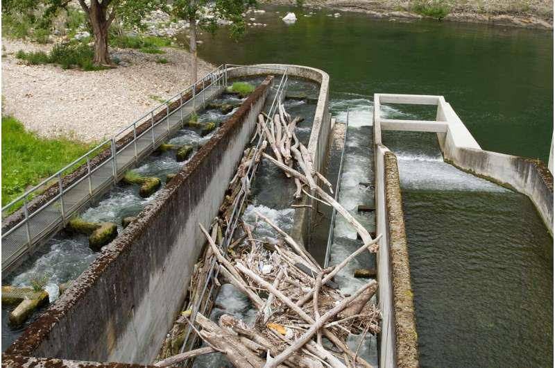 Removing old structures from rivers could restore vital water flow