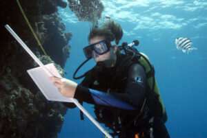 Researcher investigates threats to coral and other ocean life