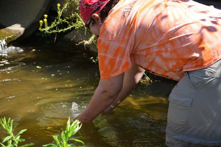 Research examines stream restorations with an eye on improving Chesapeake Bay