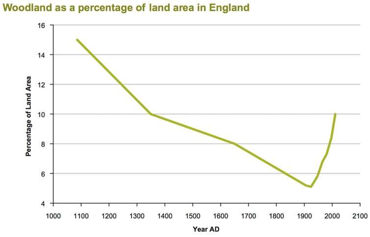 Rewild 25% of the UK for less climate change, more wildlife and a life lived closer to nature