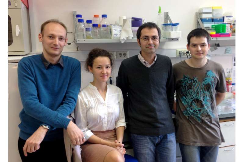 Russian scientists alter 3D genome using 'small molecules'