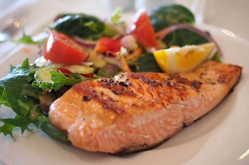Higher protein intake while dieting leads to healthier eating