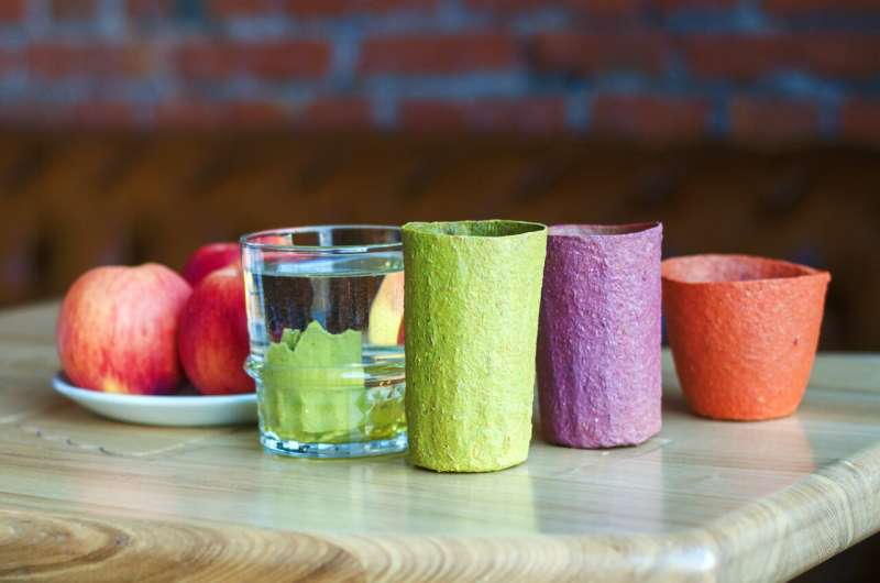 Samara scientists created disposable edible dishware made from apples