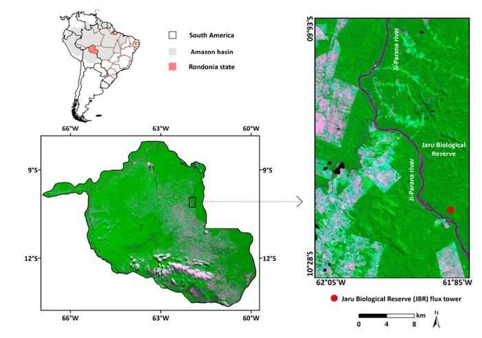 Satellite study of Amazon rainforest land cover gives insight into 2019 fires