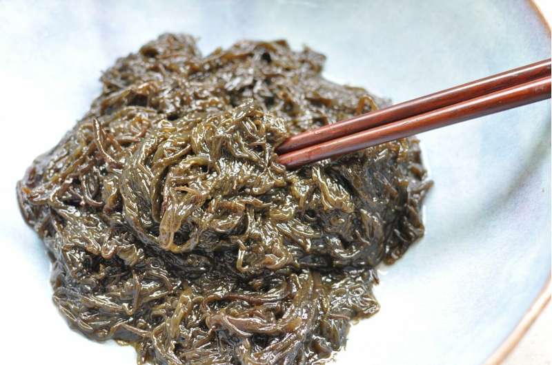 Scientists crack genome of superfood seaweed, ito-mozuku