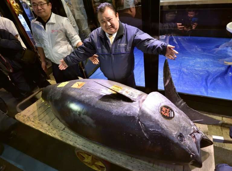 Self-styled 'tuna king' Kiyoshi Kimura shows off his catch
