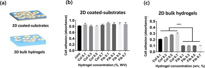 **Semi-flexible model-based analysis of cell adhesion to hydrogels