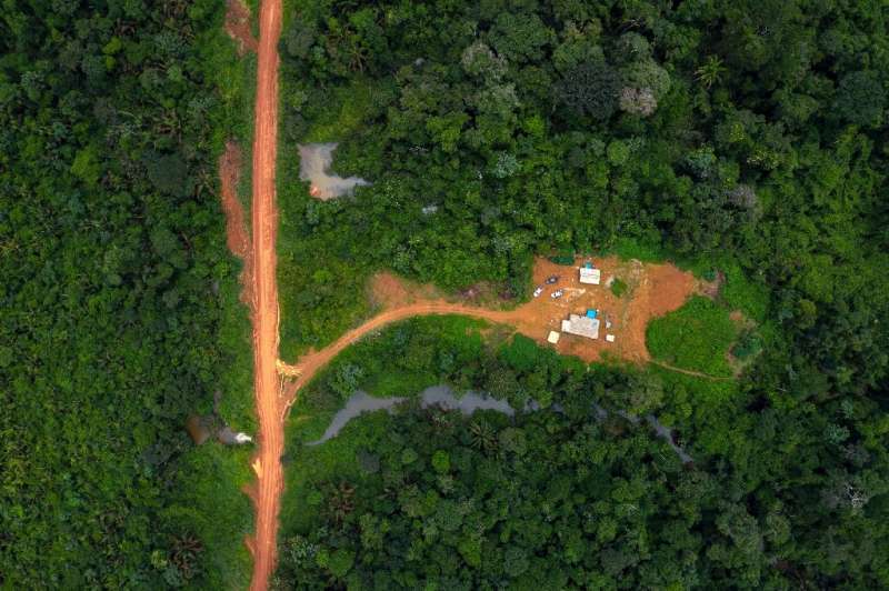 Since 2010, the area of Brazilian rainforest planted with soya—which is used to feed animals sold for meat—increased 45 percent
