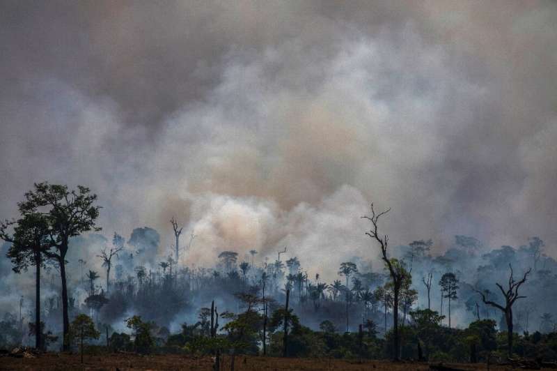 Smokes rises from forest fires in Altamira, in Brazilian the Amazon basin state of Para, in late August 2019