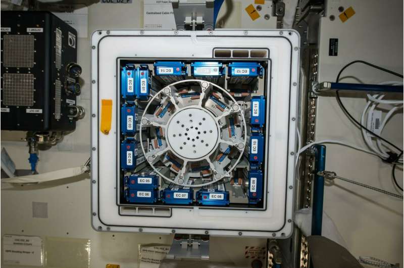 Spotlight on Space Station science