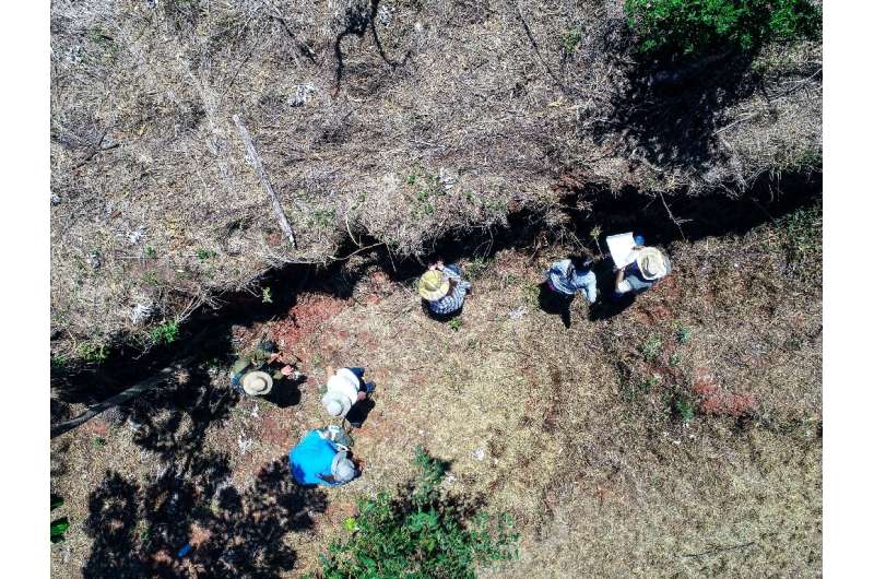 State University of Maringa paleontologists work at the site where fossilised bones of a dinosaur were found in Maringa, Parana 
