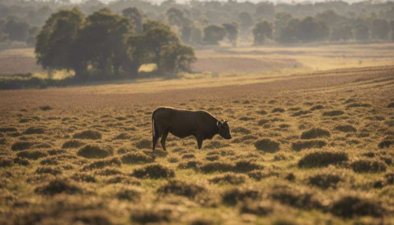Stoking conflict between farming and conservation hurts everyone