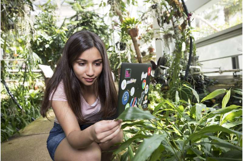 Student uses AI to diagnose plant diseases