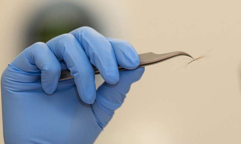 Study finds any single hair from the human body can be used for identification