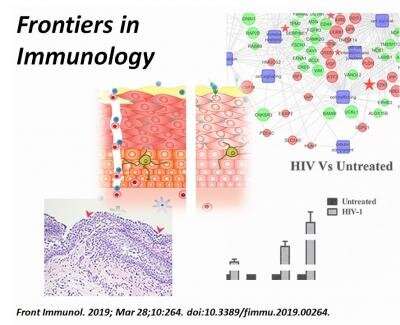 Study presents drug candidate for reversing mucosal barrier damage by HIV
