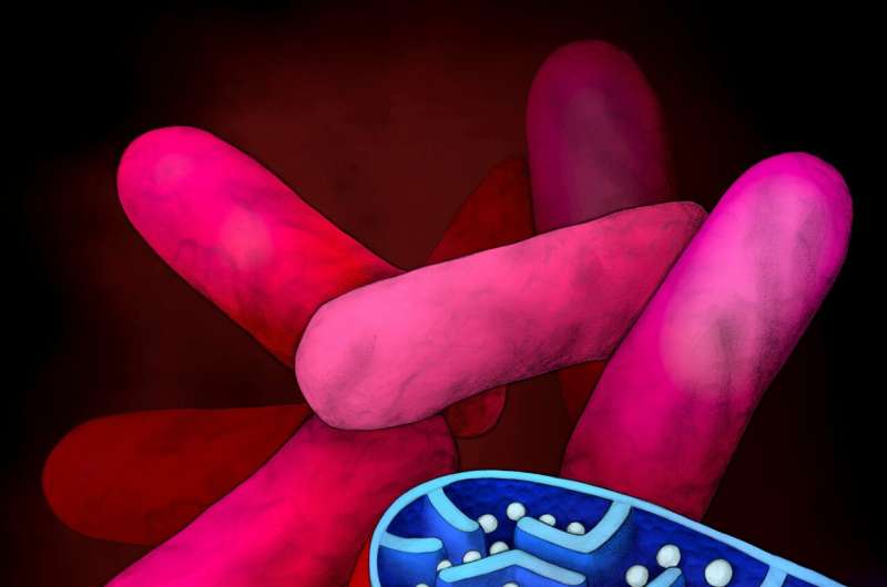 Suicide system in tuberculosis bacteria might hold key to treatment