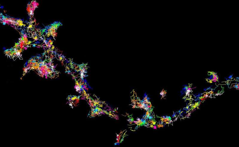 Super-resolution microscopy sheds light on how dementia protein becomes dysfunctional