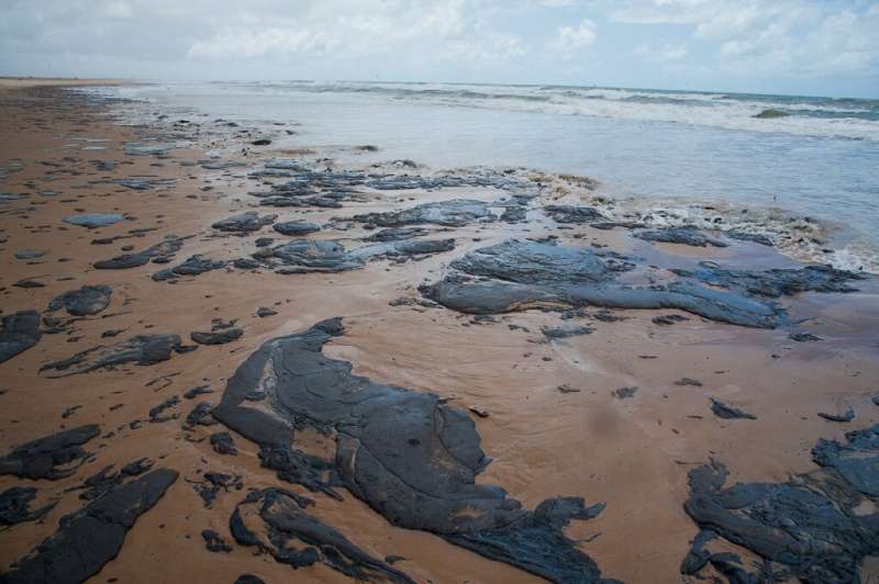 Tamar, a group dedicated to the protection of sea turtles, said the oil spills staining Brazilian beaches was &quot;the worst en
