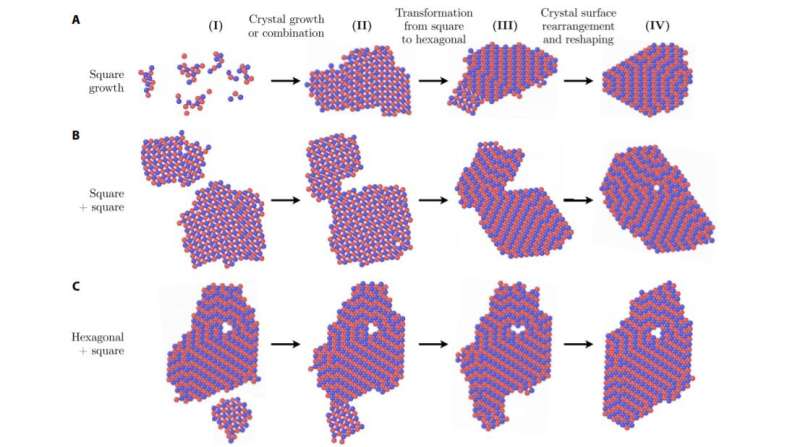Team discovers polymorph selection during crystal growth can be thermodynamically driven