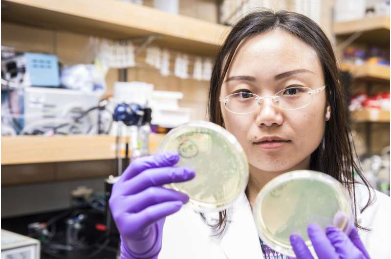 Testing how well water disinfectants damage antibiotic resistance genes