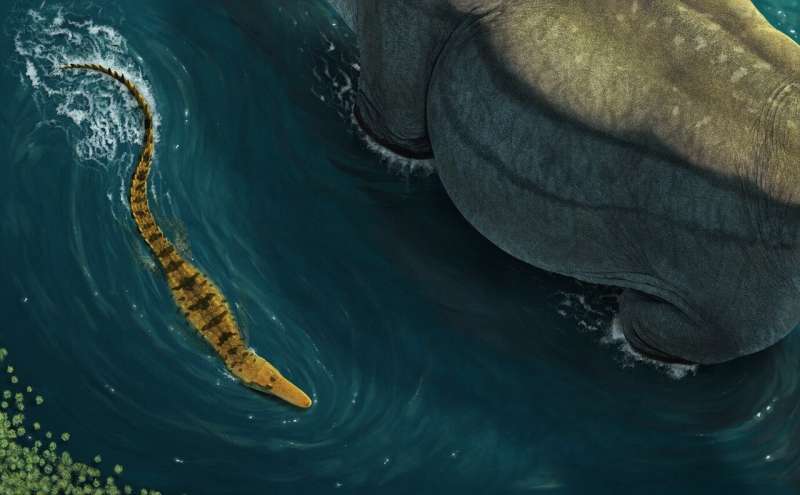 The ancient croc that preyed on dinosaurs