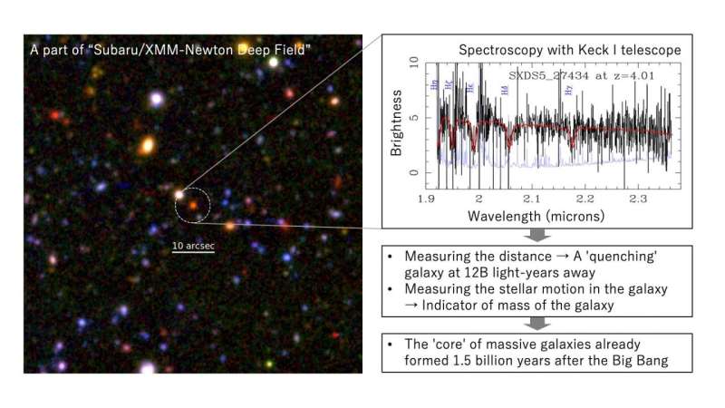 The 'cores' of massive galaxies had already formed 1.5 billion years after the big bang